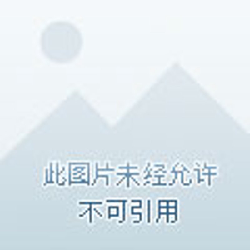 家常菜，那一抹熟悉的味道
